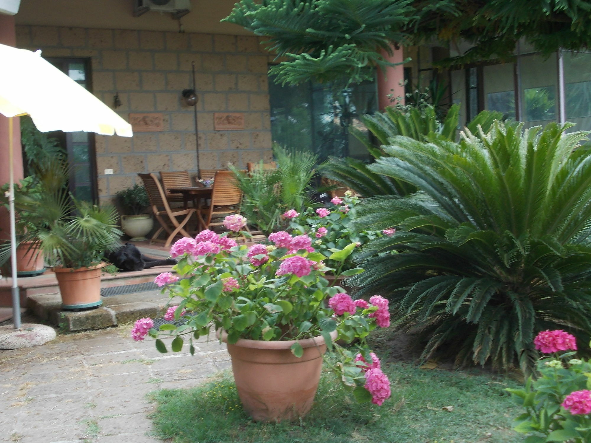 Bellavista Country House ペスカーラ エクステリア 写真